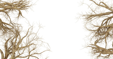Abstract Tree Branches on transparent background