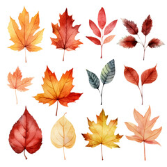 Fototapeta premium Watercolor autumn leaves collection. A set of 12 autumn leaves, painted in various shades of red, orange, yellow and brown.
