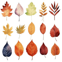 Watercolor illustration of 15 different autumn leaves in shades of red, orange, yellow, and brown.