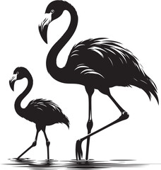 Beautiful flamingo bird silhouette illustration isolated on a white background