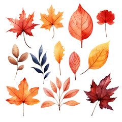 Obraz premium Watercolor illustration of autumn leaves in various shapes and colors.