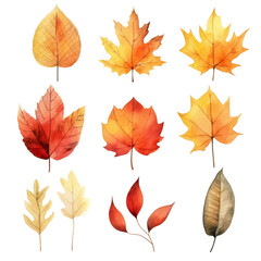 Obraz premium Watercolor illustrations of autumn leaves in various shades of red, orange, and yellow.