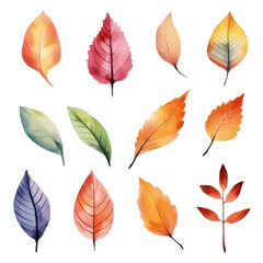 Obraz premium Watercolor painting of twelve autumn leaves in various colors and shapes.