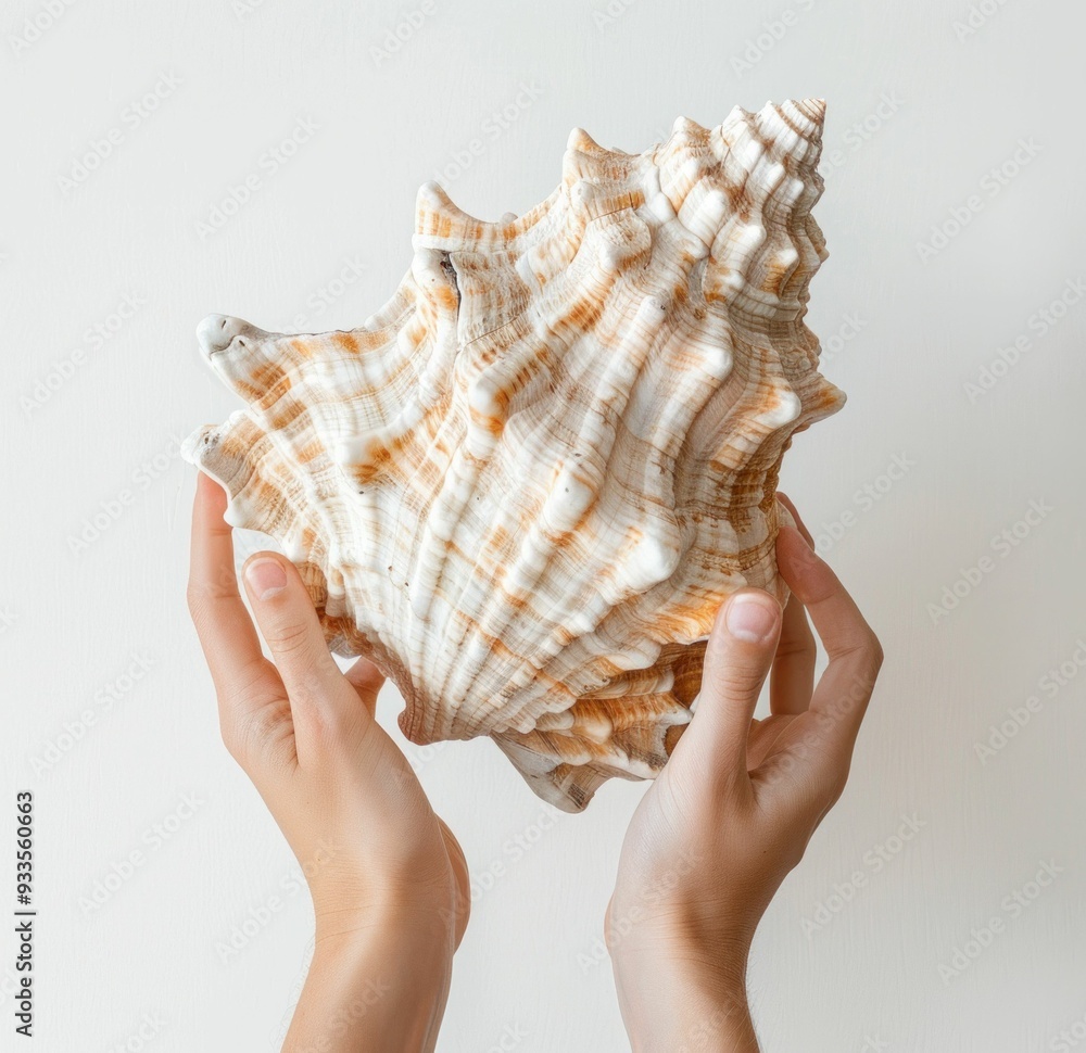 Aufkleber hands holding a large seashell against a light background, showcasing its intricate texture and natu
