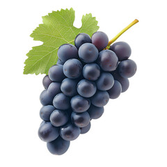 Fototapeta premium [Transparent Background PNG]Fresh Bunch of Red Grapes Isolated on White Background