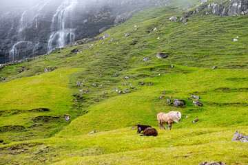 Dúvugarðar Saksun Heritage Farm , Faroe Islands