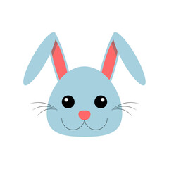 bunny rabbit