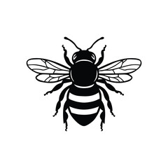 Fototapeta premium Bee vector illustration design