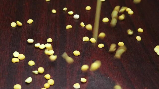 Pigeon peas, Arhar legume split on black board. Toor dal (India), Congo pea drops on table close up video. Yellow spilt peas scatter 4k footage. 
