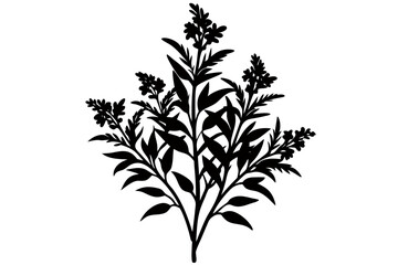 Creative Flower SillouetteVector Art Illustration