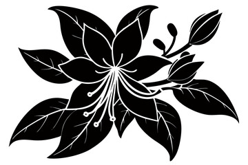 Creative Flower SillouetteVector Art Illustration