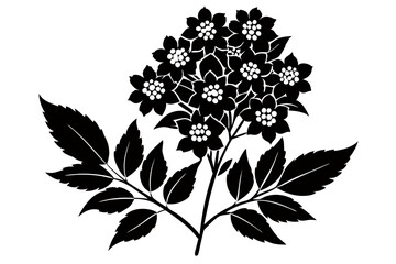 Creative Flower SillouetteVector Art Illustration