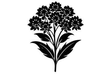 Creative Flower SillouetteVector Art Illustration