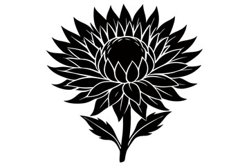 Creative Flower SillouetteVector Art Illustration