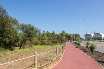Parque dos Pinheiros Mansons, Oliveira do Bairro, Aveiro, Portugal.