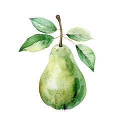 Fresh Pear Watercolor Clipart - Soft Green Fruit Element on White Background