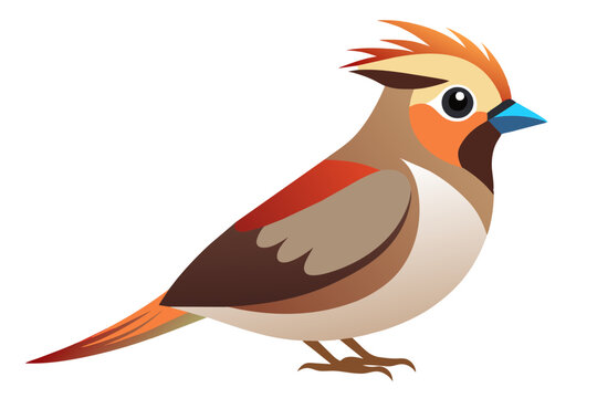 recommend clip art:  Beautiful bird bohemian waxwing vector art illustration 
