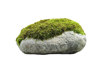 Tranquil Moss-Covered Stone on White Background for Zen Concept