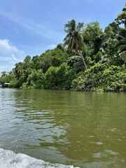 Madu river, Sri Lanka
