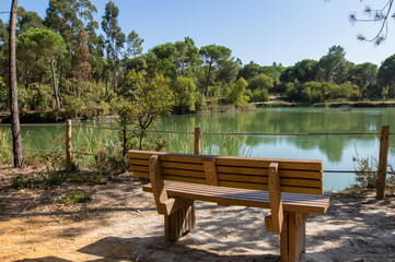 Parque dos Pinheiros Mansos, Cidade de Oliveira do Bairros, Aveiro, Portugal.