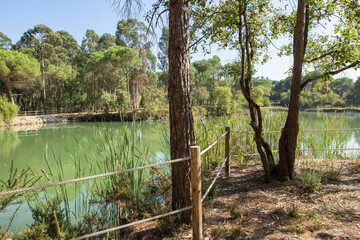 Parque dos Pinheiros Mansos, Cidade de Oliveira do Bairros, Aveiro, Portugal.