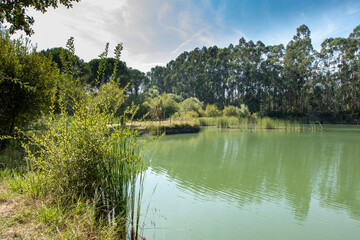 Parque dos Pinheiros Mansos, Cidade de Oliveira do Bairros, Aveiro, Portugal.