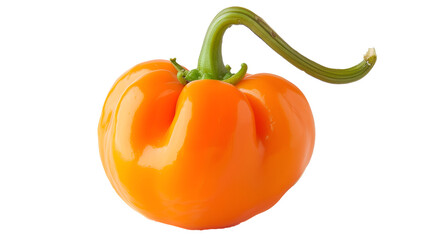 PNG Vibrant Orange Habanero for Flavor Lovers
