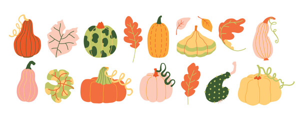 Autumn harvest various pumpkins and leaves hand drawn cute simple illustration collection. Trendy clip art set for children books stationery banners and social media