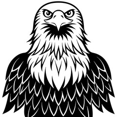 eagle vector illustration