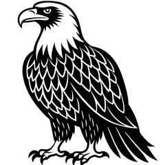 eagle vector illustration