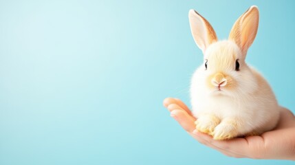Obraz premium Tiny bunny resting on a human hand against a light blue background. Minimalistic and gentle Easter or spring concept.