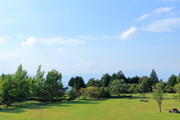 緑豊かな広い公園