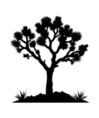 Joshua tree vector illustration.