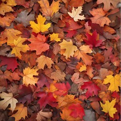A close-up photograph of a pile of fallen maple leaves in vibrant shades of orange and red.