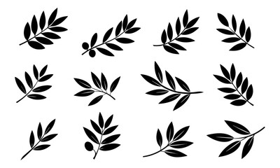Set of olive branch silhouette vector illustration