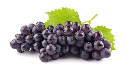 Fototapeta premium A wild grape, Fox Grape offers a sweet and tart taste profile commonly used in the production of wines.