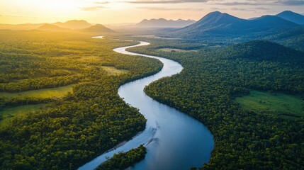 Fototapeta premium Serene Aerial View of a Winding River meandering through Lush Rainforest Canopy