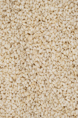 White sesame background, close-up, top view.