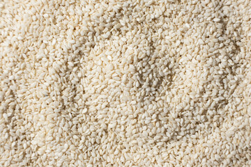 White roasted sesame kernels top view