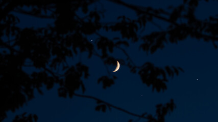 Crescent Moon, falling star, planet conjunction and landscape scenery silhouettes. © astrosystem