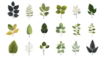 Minimalistic illustration collection of different green leaves and plants isolated on white background	