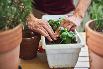 Man taking care of plants at home terrace.