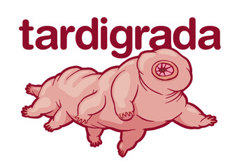 Tardigrade