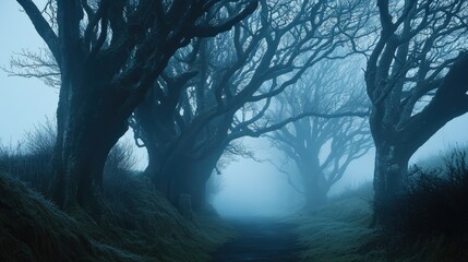 A misty morning at The Dark Hedges, with the eerie, atmospheric fog rolling through the twisted, ancient trees.
