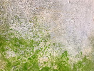 Texture of artistic plaster green and white colors. Abstract art stucco background with olive pattern, macro.