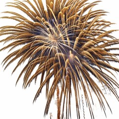 Fototapeta premium Stunning Golden Fireworks Display Exploding in the Night Sky with Radiant Sparks and Trails