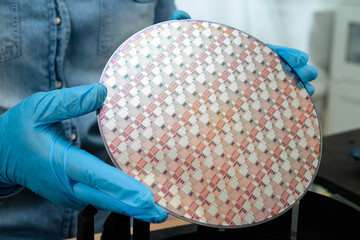 Silicon wafer for manufacturing semiconductor of integrated circuit.