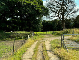 Fototapeta premium An grassy path winds past a metal gate, opening into a verdant field encircled by trees beneath a luminous sky. The fence and pastoral surroundings create a tranquil atmosphere in Mirfield, UK