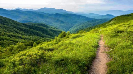 Obraz premium Majestic Mountain Path Leading to the Horizon