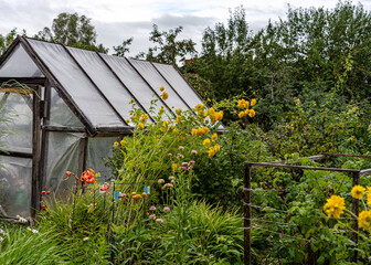 landscape with a greenhouse in a small garden, various beautiful flowers decorate the garden, gardener's concept